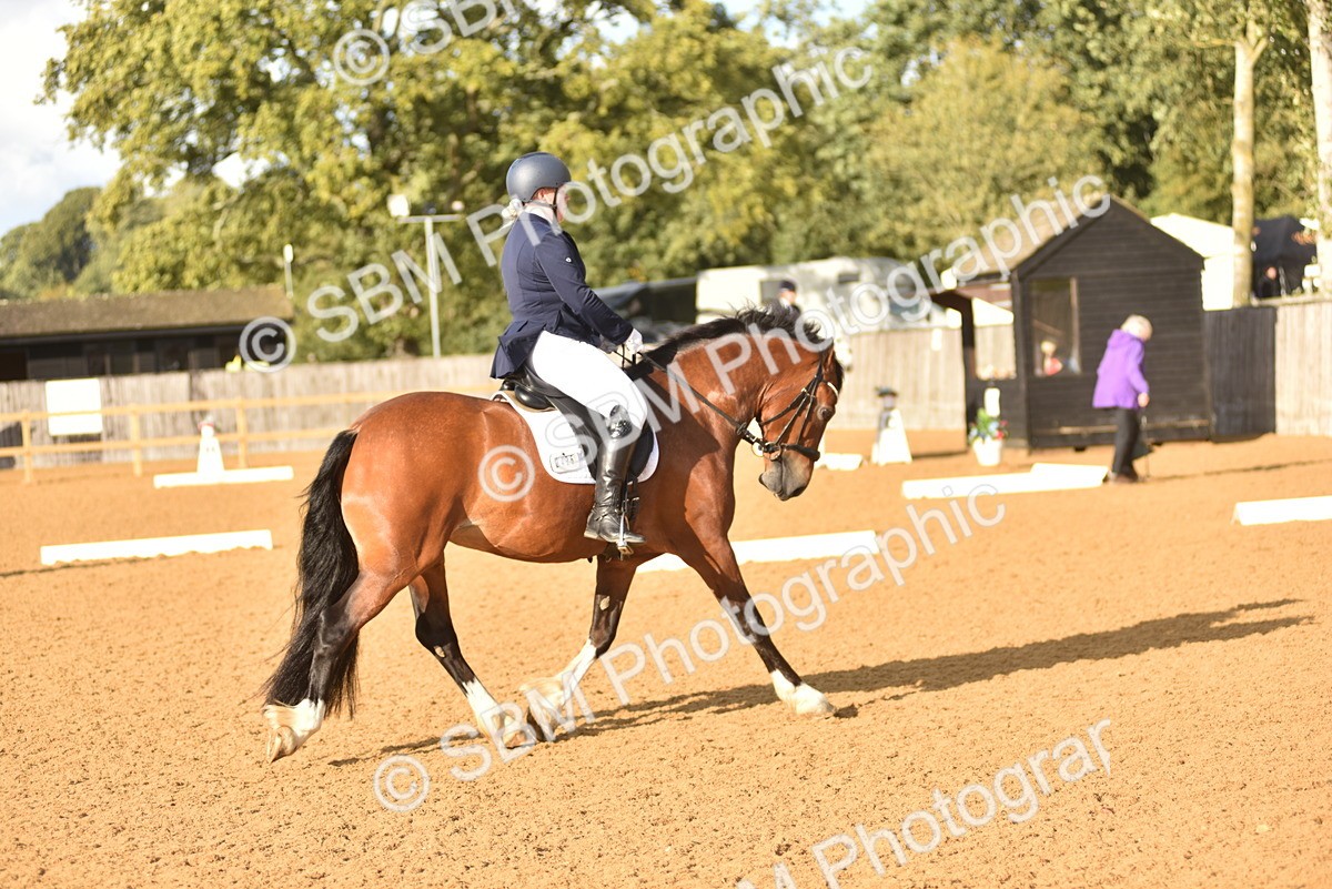 SBM_29664 - D16 -Small Tour Championship Novice 2