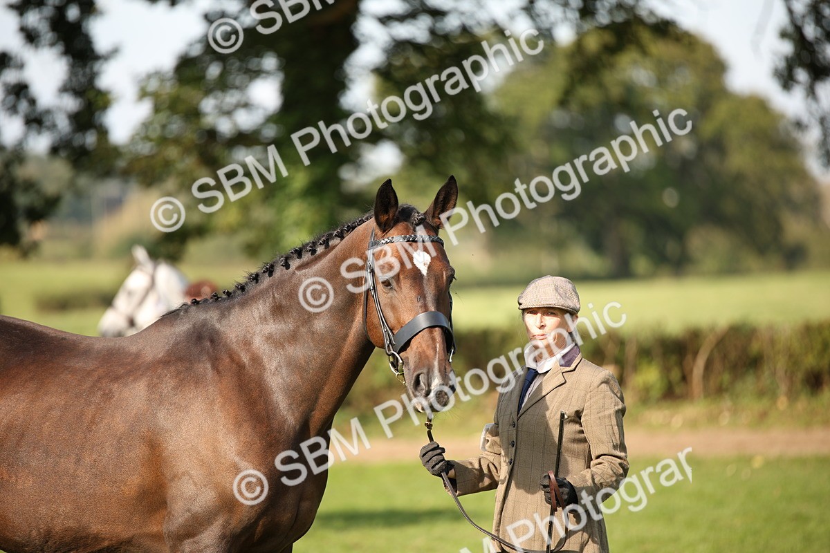 SBM_60086 - S53 - Hunter In Hand