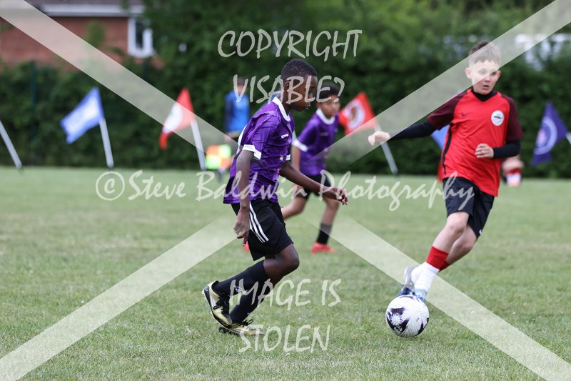1DX31253 - Brook Field V Goddard Park