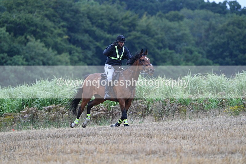 WJ5_3261 - Sofian Francis