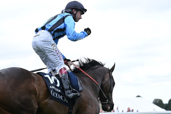 220825-166 Asfoora - Race 4 3.35pm Coolmore Wootton Bassett Nunthorpe Stakes