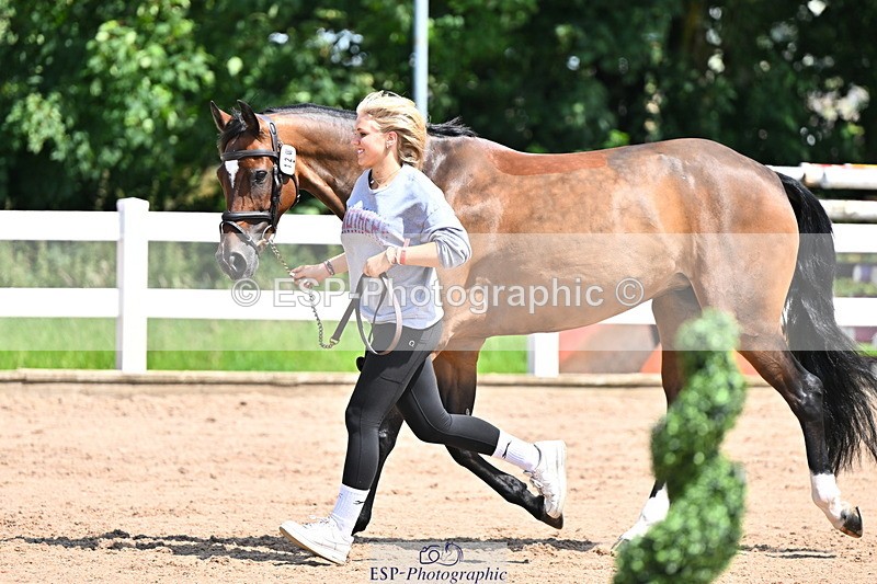 240718A-105244-01095 - Trot Up 12pm to 1pm