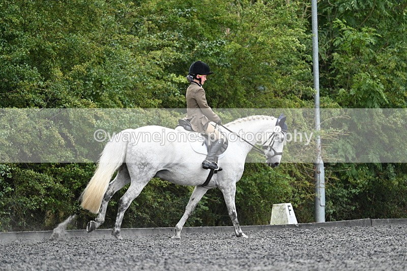 WJ7_7457 - Time 12:53 to 13:18