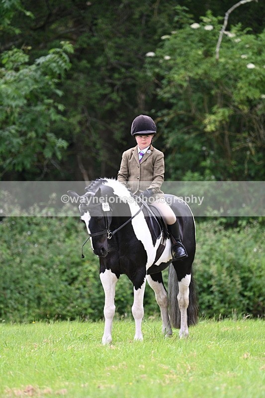 WJ7_2209 - Class 12A Coloured Class