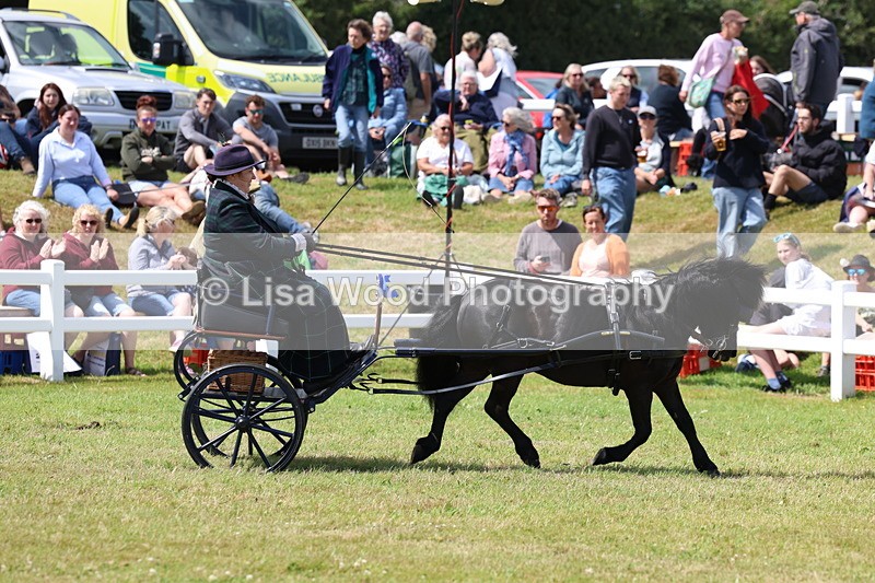 3E7A2854 - Class 12: Open Driving
