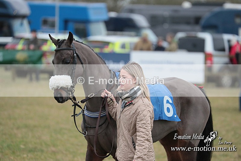 PRCO 210124 18 - Cocklebarrow Pony Races 21/01/24