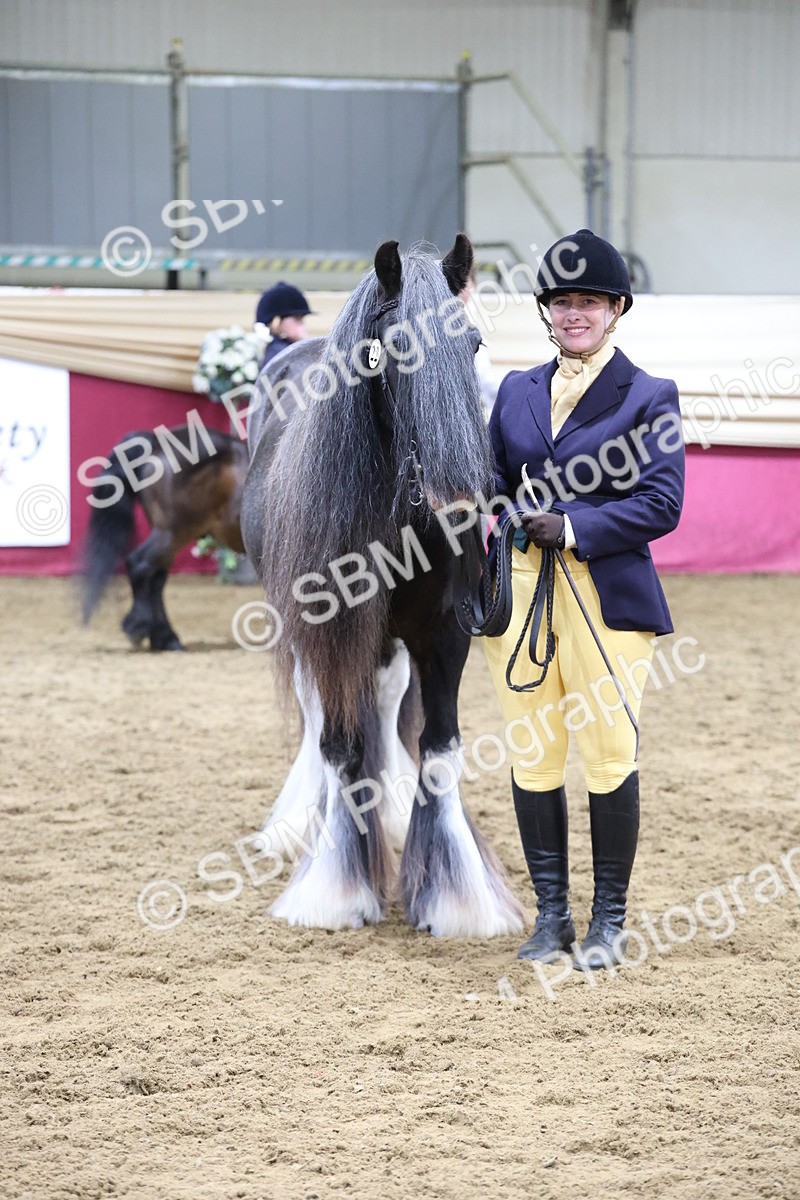 SBM_20174 - Class C - Novalty Champ