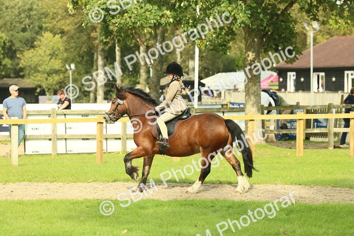 SBM_69056 - S58 - Mini Show Cob Ridden