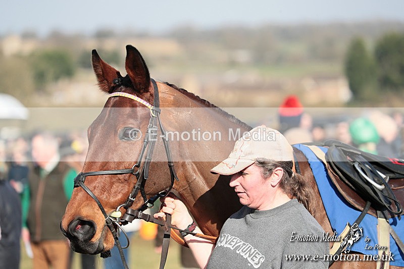 PtP 010325 259 - Beaufort Races Didmarton 01/03/25