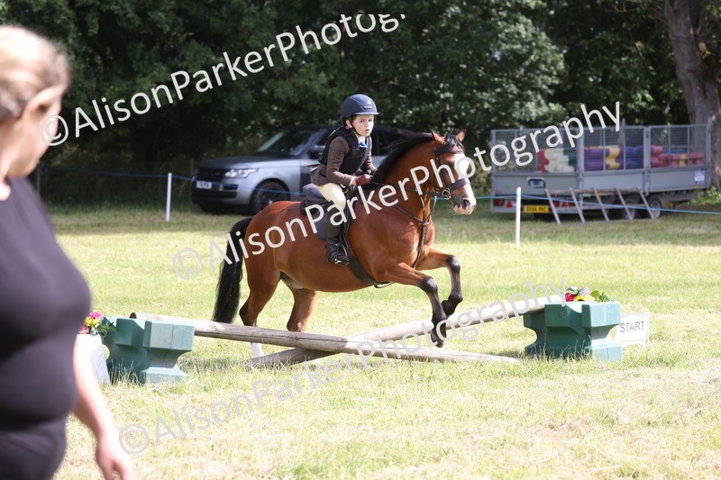 20260614-0475 - Class 20 - Beginners Working Hunter Pony