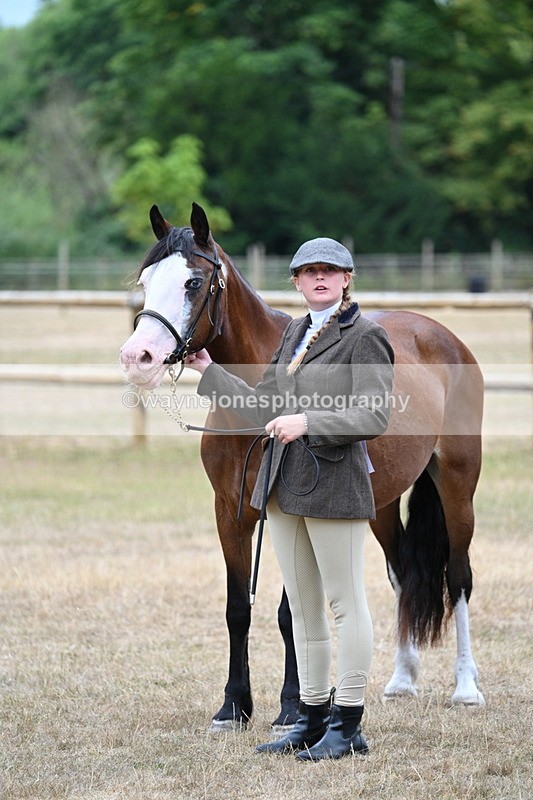WJ7_8114 - Class 4 Prettiest Mare up to 14.2hh