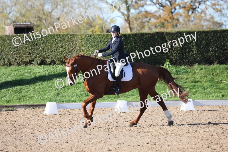 20251102-0540 - Class 3 - Novice 5