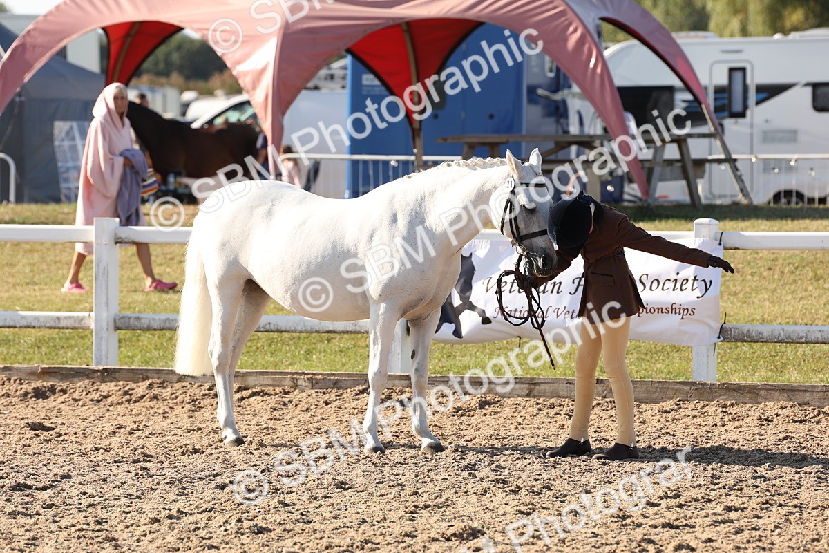 SBM_11627 - Class 203 - Young Handler 11 to 16 years
