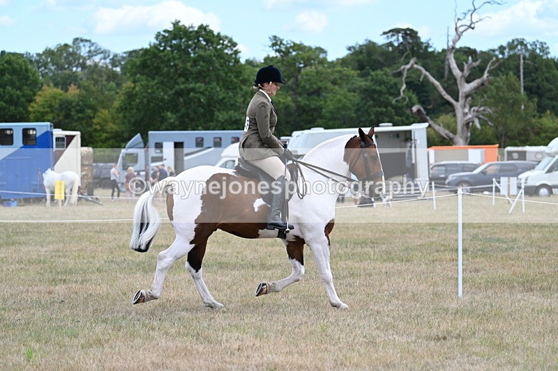 WJ7_4897 - Class 12 Ridden Cob