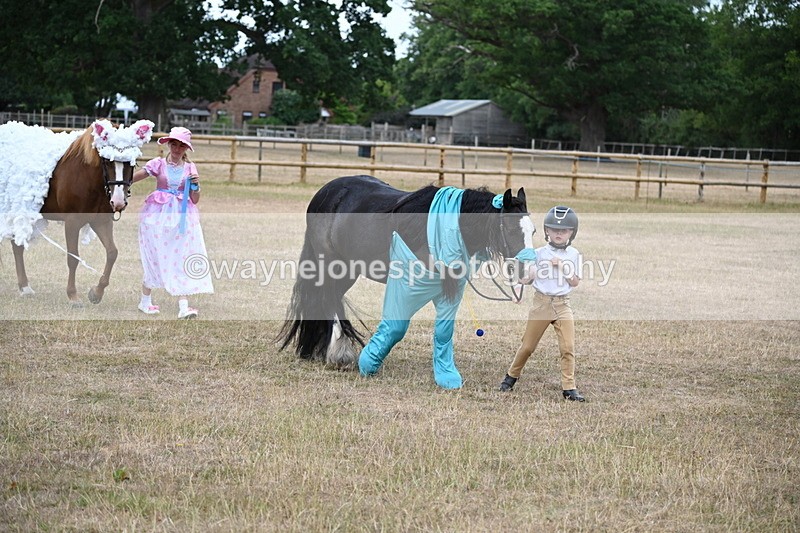 WJ6_8684 - Class 11 Fancy Dress