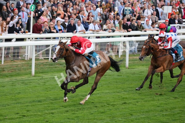 yr22072022r6-13 - Race 6 7.50pm Gallop Racing Stakes