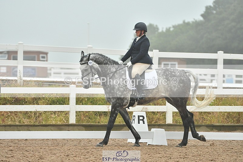 230708A-144912-02989 - Elementary 43