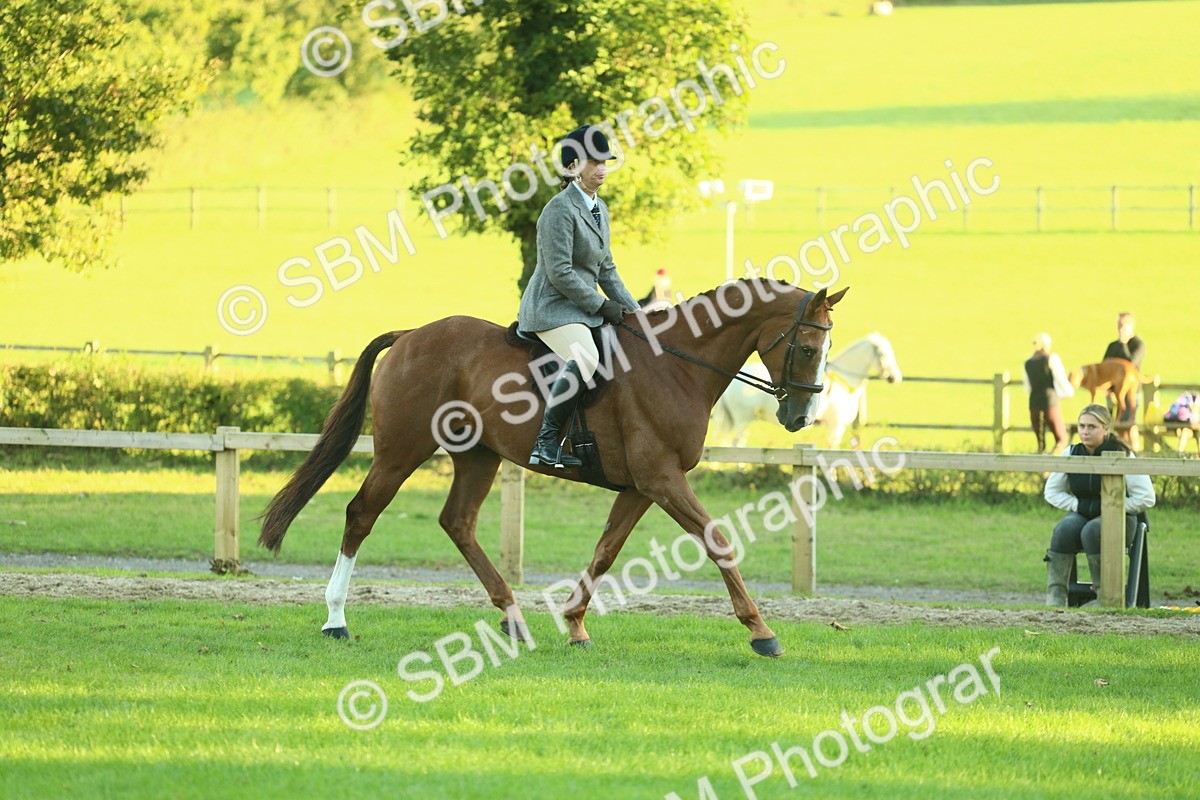 SBM_55650 - S14 - Riding Club Horse