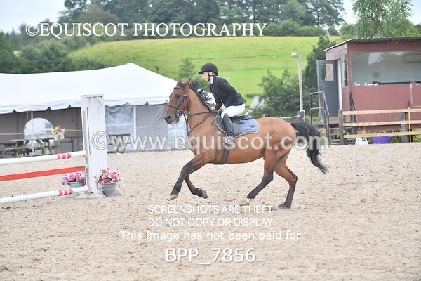 BPP_7856 - CLASS 5 Pony Discovery / 90cm Open