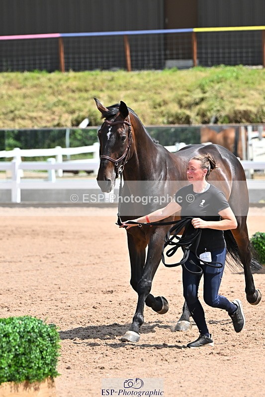 240718A-105300-01436 - Trot Up 12pm to 1pm