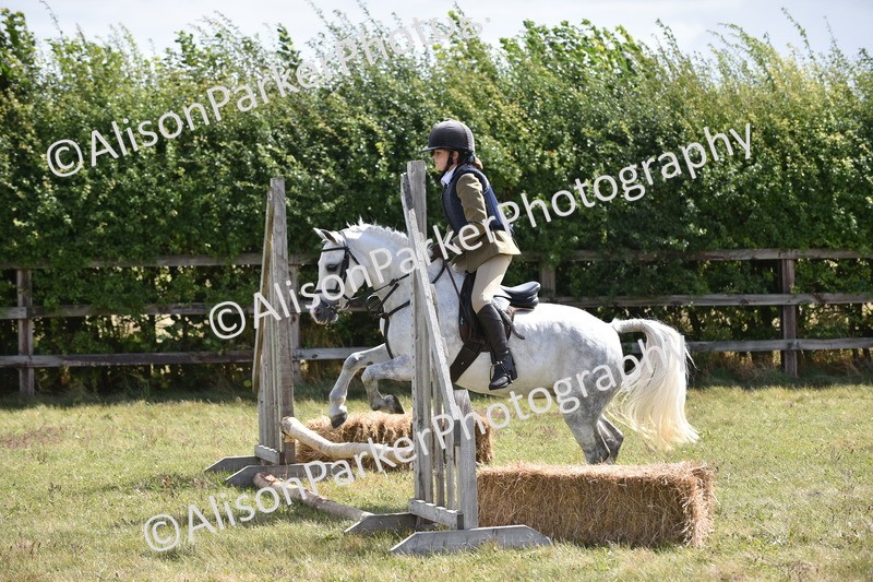 20250831-3938 - Class 11 - Working Hunter Pony 13hh and Under