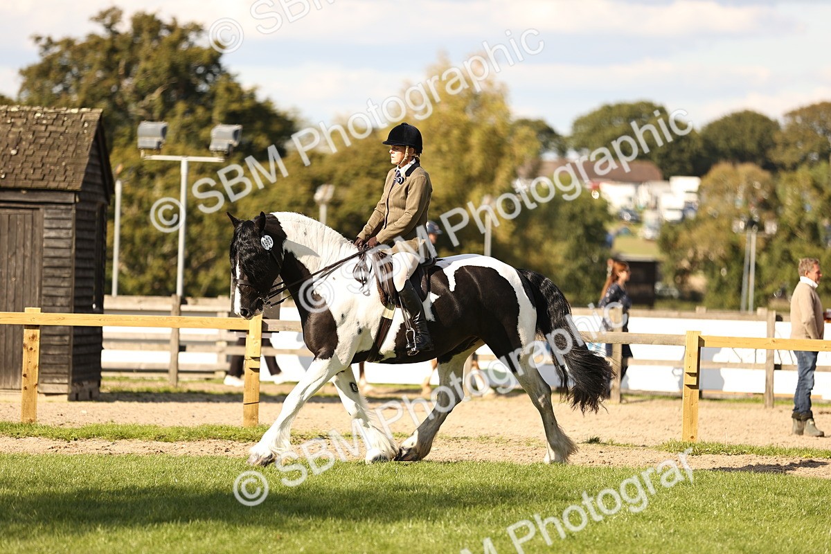 SBM_26426 - S6 - Novice & Newcomers Ridden Horse