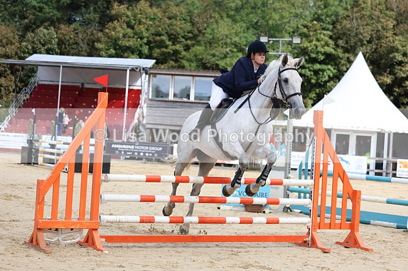 3E7A2012 - Class 4: Senior British Novice/90cm open