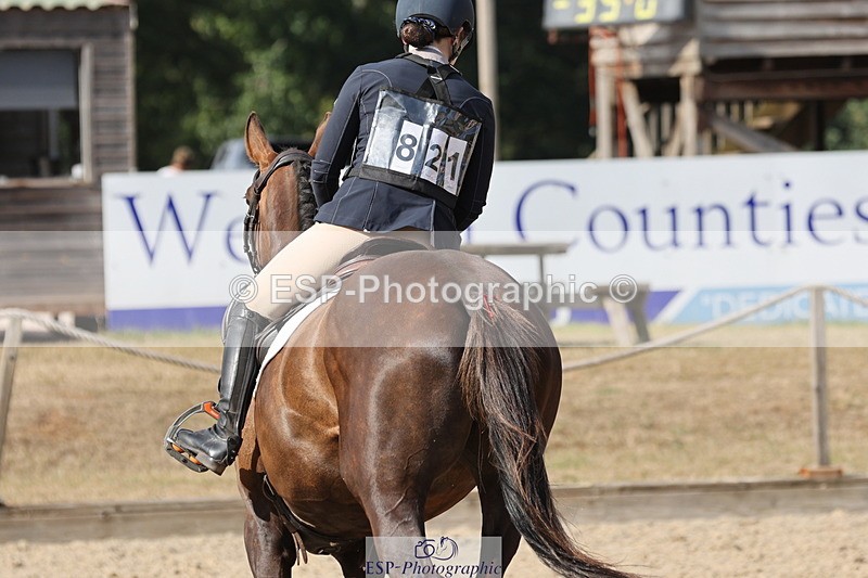 250803A-170816-17751 - R-821-Josephine.Grey-GEMMASTON.ALL.THAT.GLITTERS