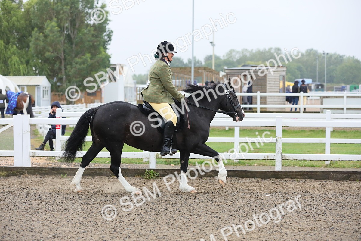 SBM_20019 - Class 802 - Ridden Groom - Helpers class