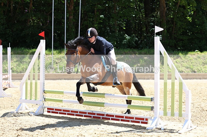 3E7A2641 - Class 4/5: 60cm Open Teams and Individuals