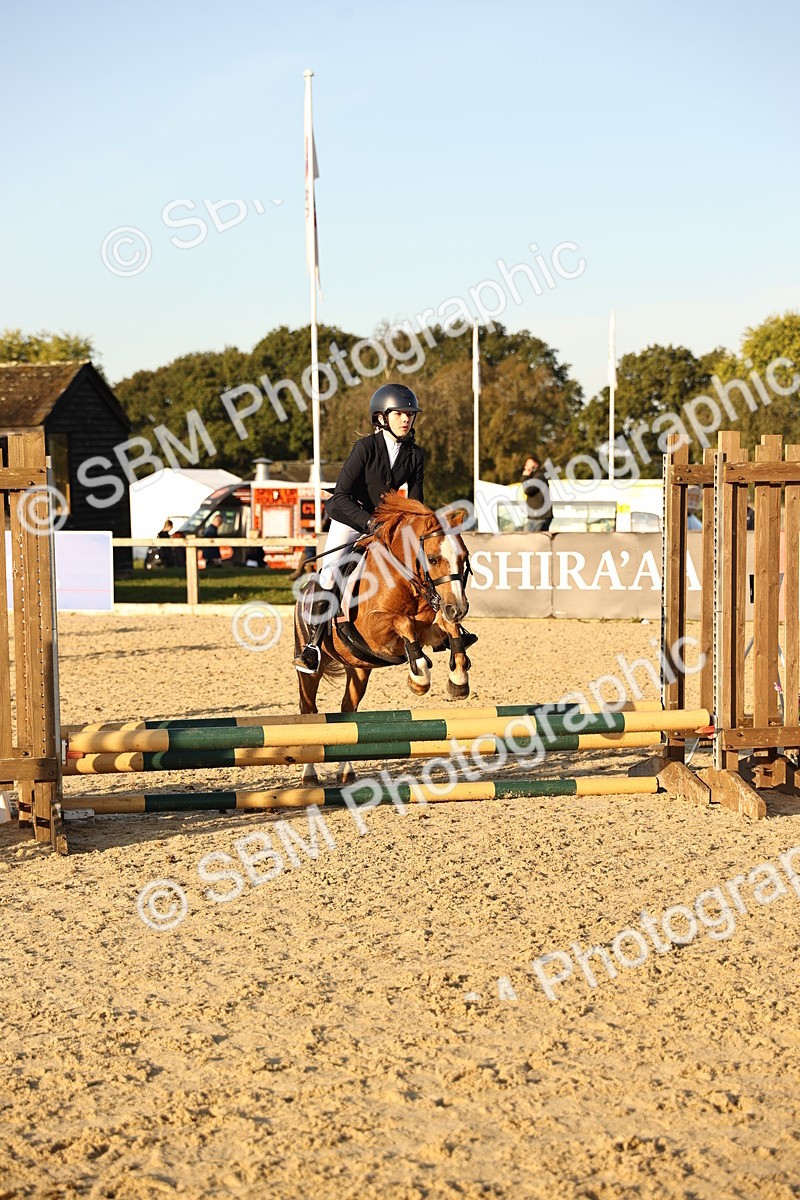 SBM_57152 - J11 - Junior Pony 50cm Championship