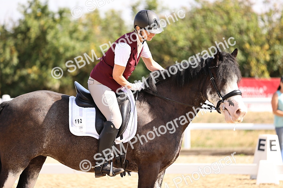 SBM_006497 - Intro 3 - 9.46-10.46