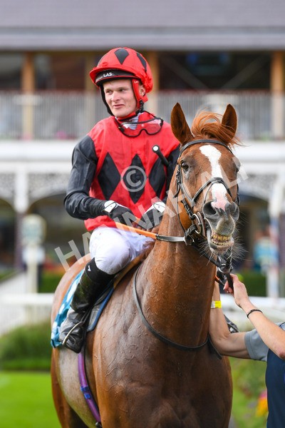 150723-Race 7-Roundhay Park-0775 - Race 7 5.30 pm John Smith's Sprint Handicap