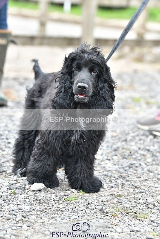 230817-124625-02813 - Stable Shots