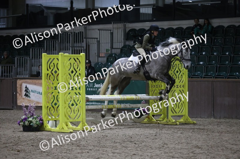 20260125-5071 - Class 5 - 80cm