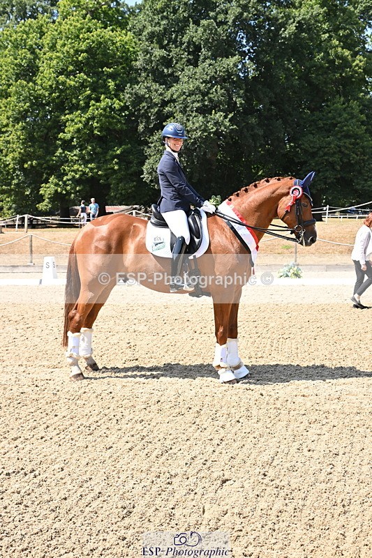 250810A-123359-06384_Adv Medium GOLD Presentations - 077-704-2164