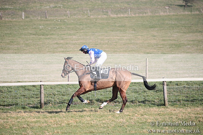 PtP 230219 173 - Vine & Craven Point-To-Point - Barbury 23/02/19