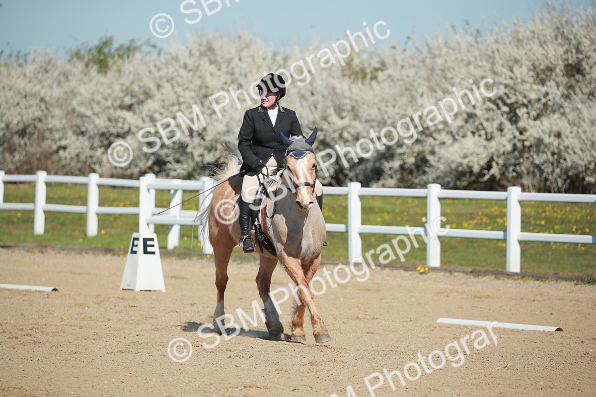 SJ3_0488 - Class 2 - P5