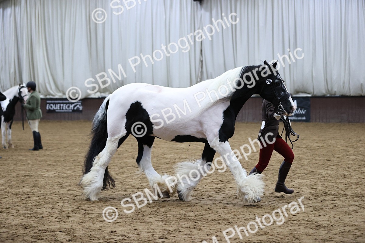 SBM_5648 - Class 40 - RESS In Hand Qualifier