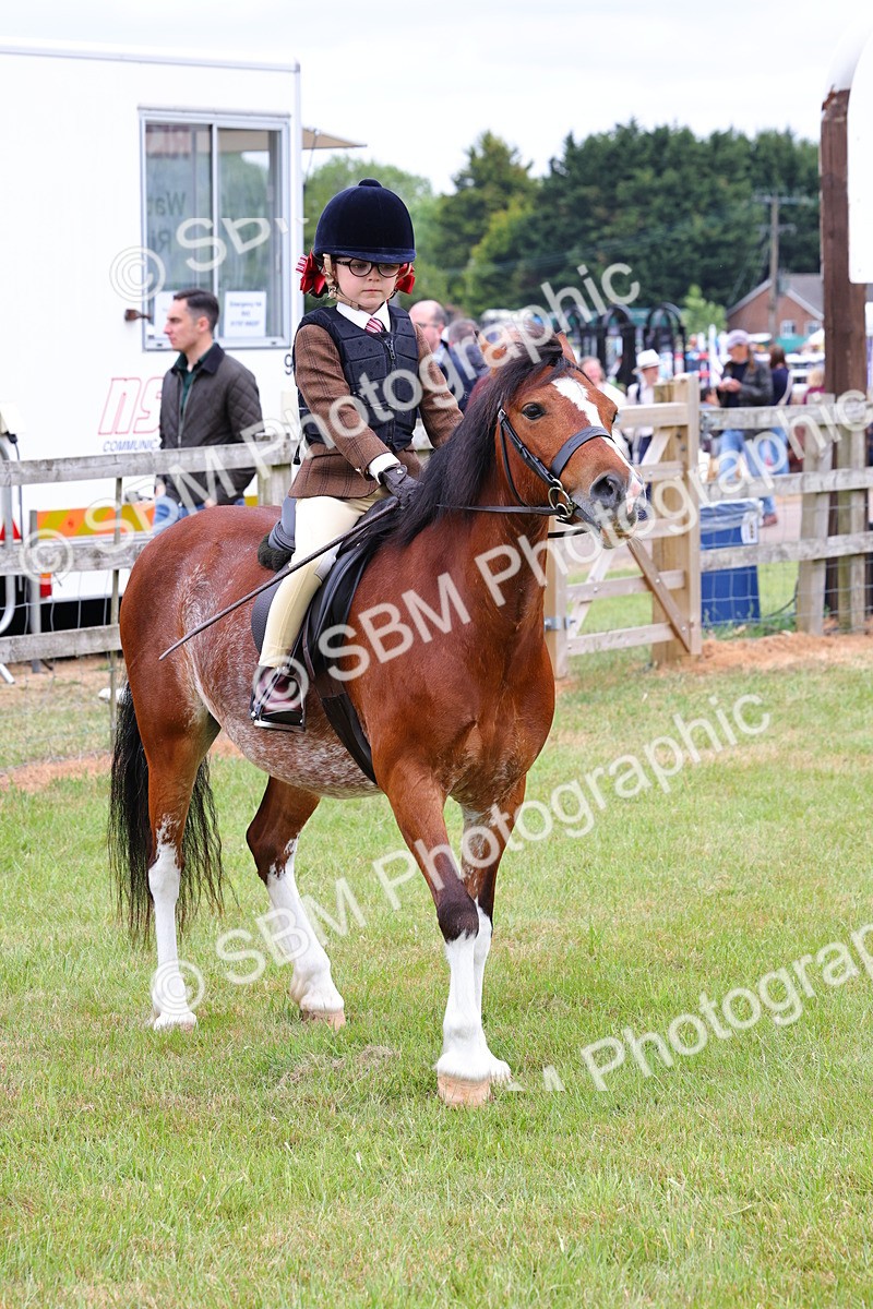 SBM_08813 - Class 42-43 - LIHS BSPS Heritage Working Sports Pony