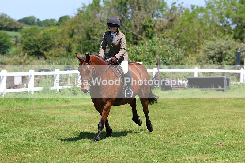 3E7A7280 - Class 30: Novice Working Hunter
