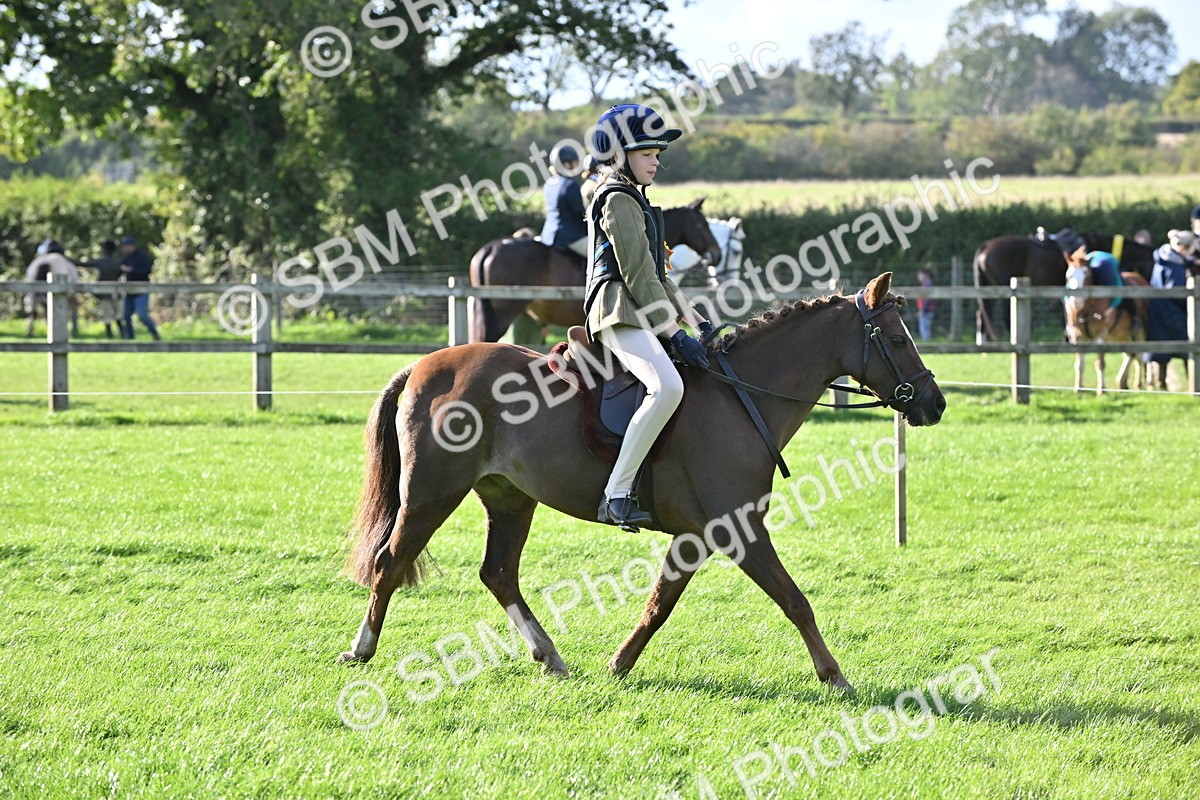 SBM_51299 - S22 - First Ridden show and show Hunter Pony