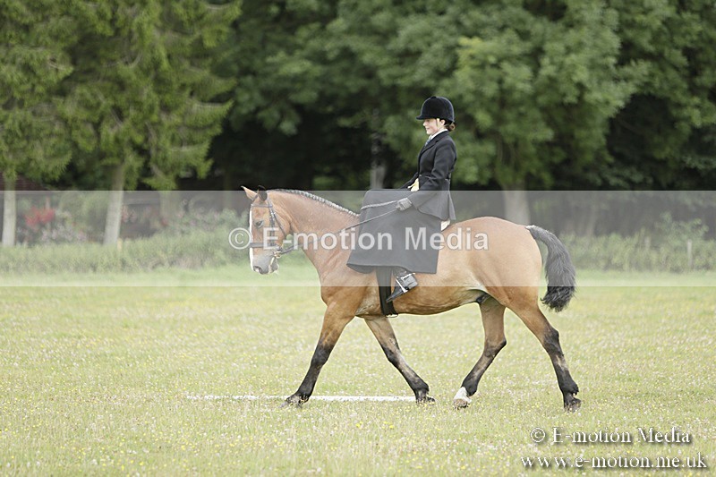 BVR160717-621 - Class 1 & 23a Dressage 16/07/17