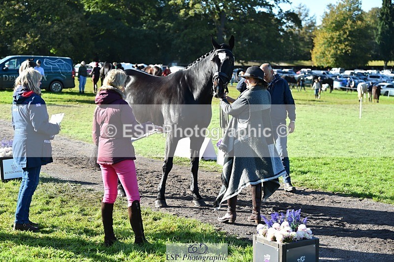 231022-105358-23573 - 448-BARATHEON-Georgina.Owen-TrotUp+SJ