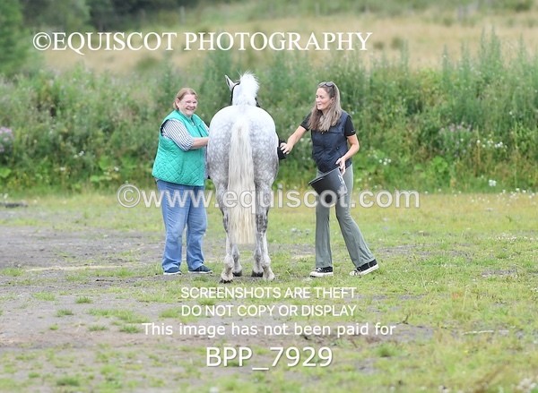 BPP_7929 - CLASS 6 Springboard 128cm/ 138cm Restricted Handicap