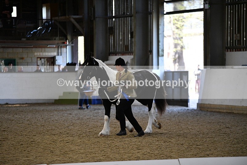 WJ5_3755 - Class 5 In Hand Veterans