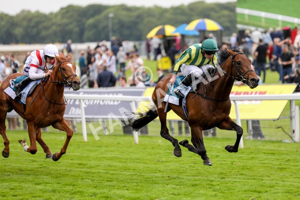 180523-Race 7-Chesspiece-7475 - Race 7 5.20pm Collective Green Energy Handicap