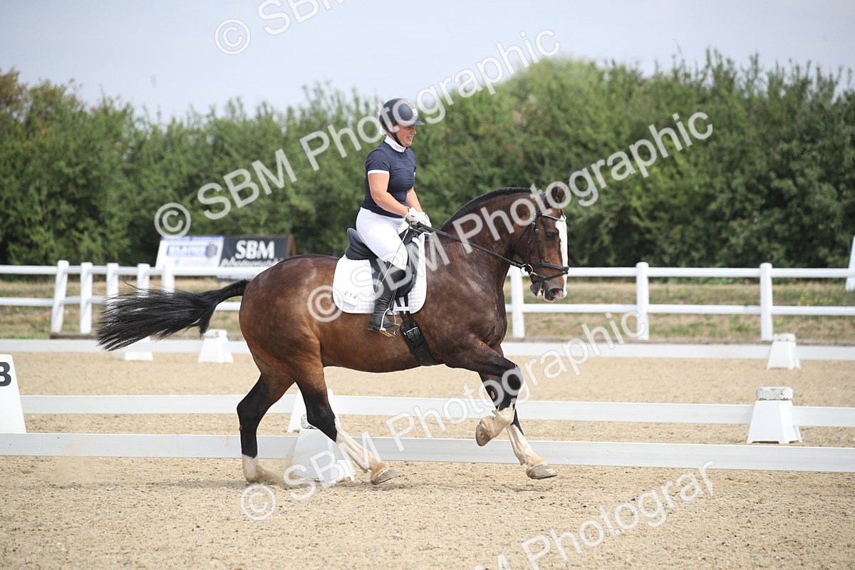SBM_006650 - Novice 5 - 10.56-13.12