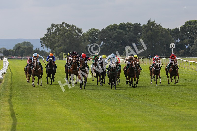 240624-Race 3-Eternal Sunshine-0169 - Race 3