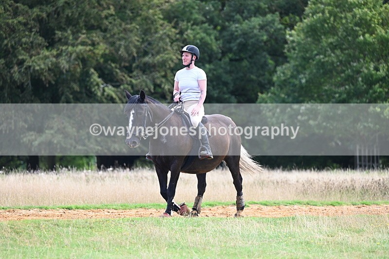 DSC_4348 - Time at Statue 09:50 to 11:09